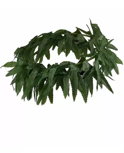 Pannband med tropiska blad
