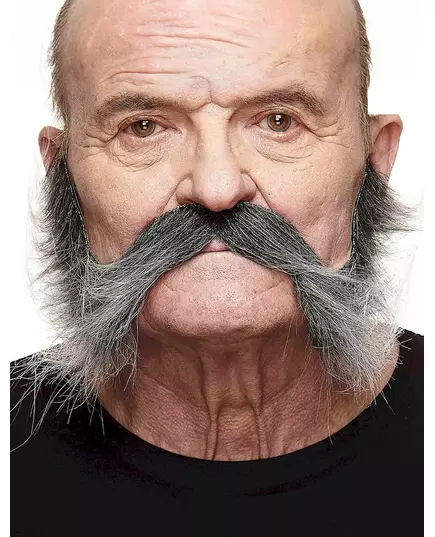 Mustasch med grånande polisonger herr