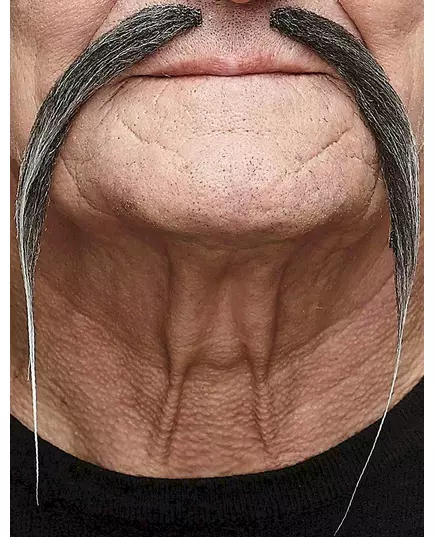 Grå kinesisk mustasch vuxen