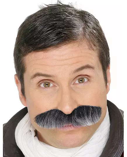 Gråsprängt mustasch vuxen
