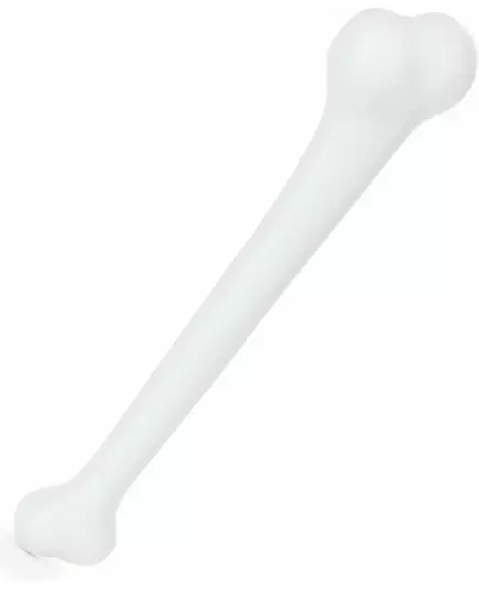 Plastben