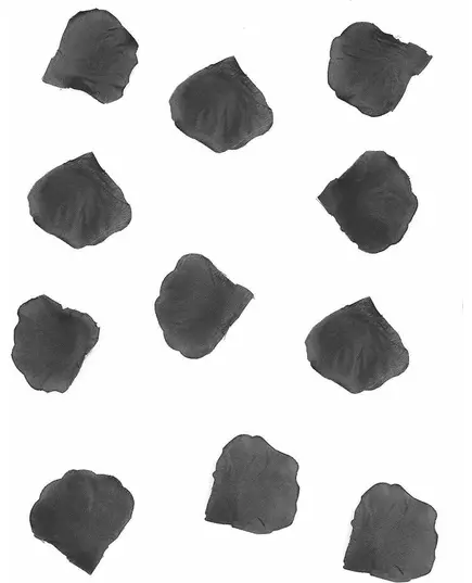 100 svarta tygrosblad 5 cm