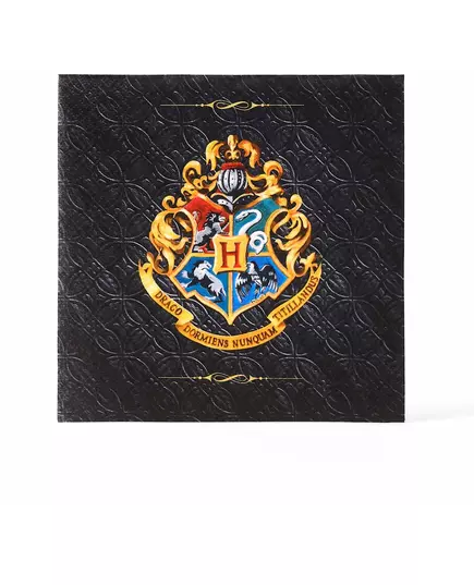 20 Harry Potter-pappersservetter med spindelnät 33x 33 cm™