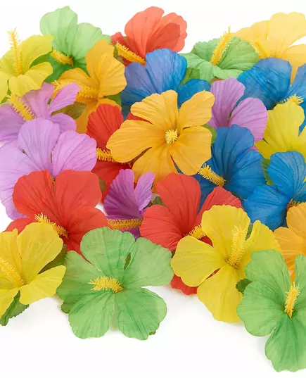 24 hawaiianska blommor
