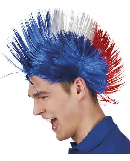 Punkperuk France