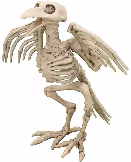 Dekoration korpskelett 19,5 cm Halloween