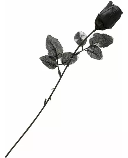 Svart ros