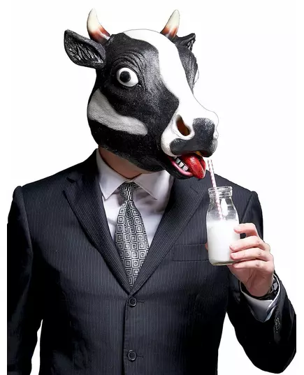 Ko-mask med horn vuxen