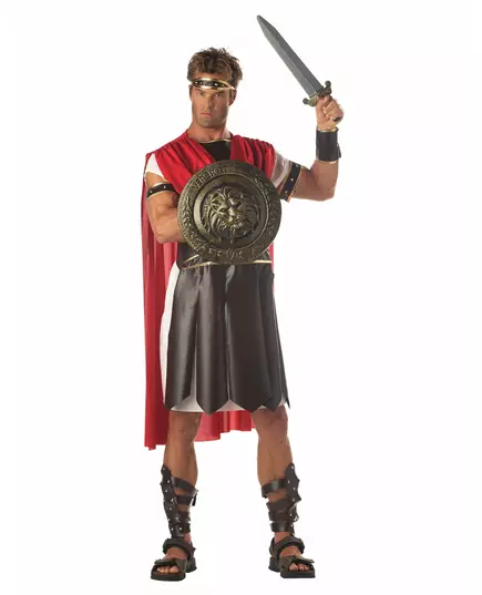 Gladiatorsköld och stridssvärd, image 2