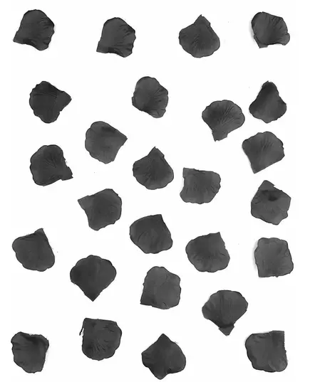 100 svarta tygrosblad 5 cm, image 2