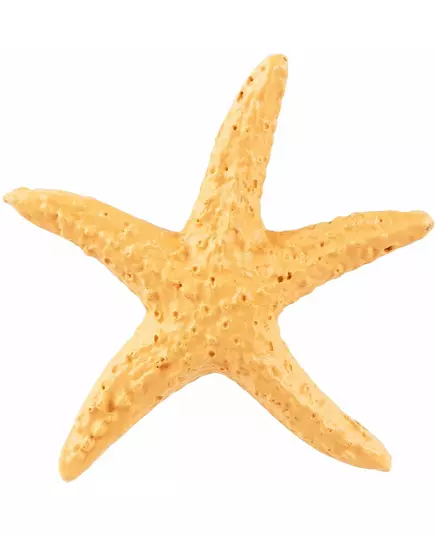 4 sjöstjärnor i harts 4,5 cm, image 2