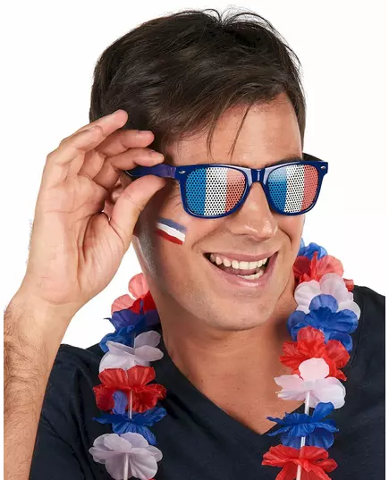 Supporterglasögon med fransk flagga vuxen, image 2