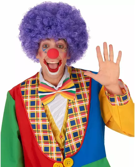 Lila bekväm clownperuk vuxen, image 2