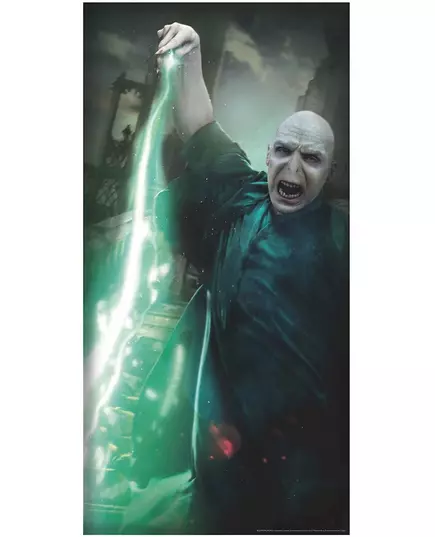Dörrdekoration Voldemort Harry Potter™, image 2