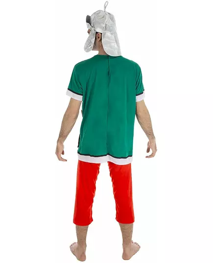 Romersk legionärmaskeraddräkt Asterix och Obelix™ herr, Storlek: Large, image 2