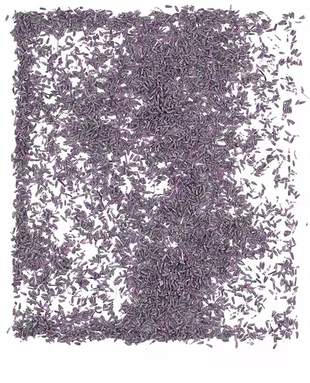 Påse med 1 kg naturliga lavendelblommor, image 2