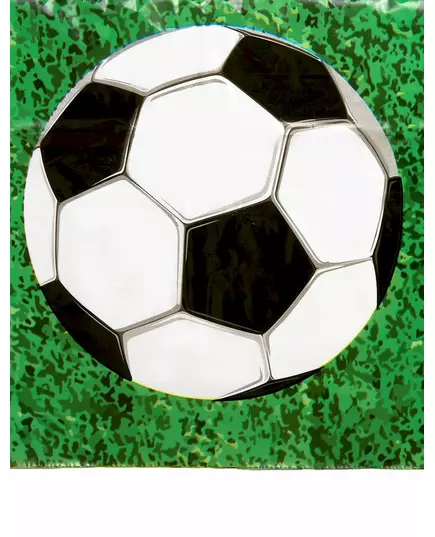Fotbollsduk i plast 120 x 180 cm, image 2