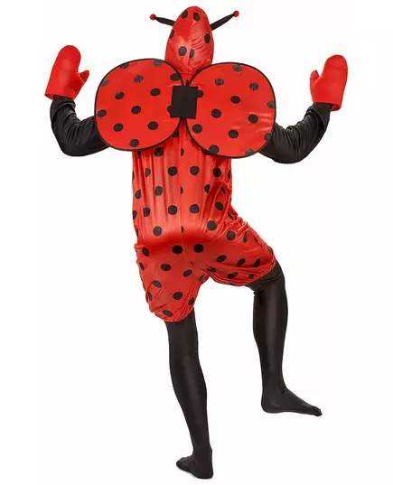 Maskeraddräkt nyckelpiga vuxen, Storlek: X-Large, image 2