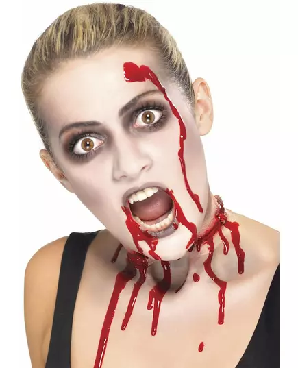 Sminkset zombie dam Halloween, image 2