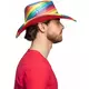 Regnbågsfärgad cowboyhatt med paljetter vuxen, image 2
