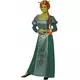 Fiona Shrek™-maskeraddräkt dam, Storlek: Medium, image 2